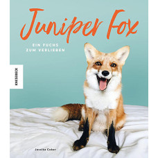 JUNIPER FOX