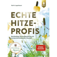 ECHTE HITZEPROFIS 