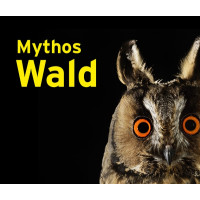 MYTHOS WALD 